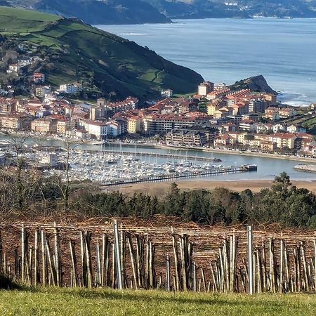 Zumaia Basque Alai Apartment Exterior photo